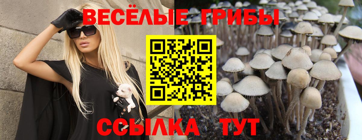 Псилоцибиновые грибы MAGIC MUSHROOMS  Вход с VPN  Сафоново 